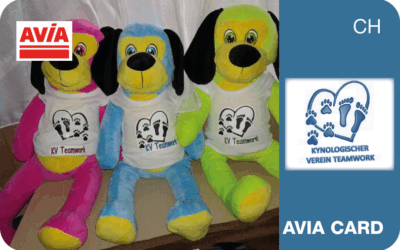 Kynologischer Verein Teamwork