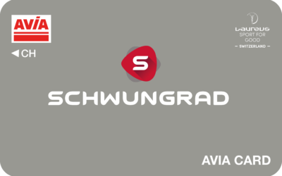 Schwungrad – Member silver